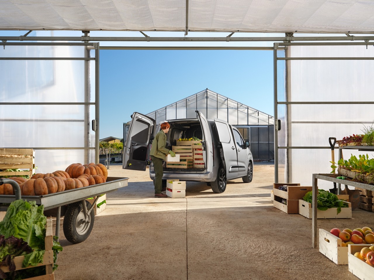 A heavy cargo is unloaded from a Proace City with its rear doors open 